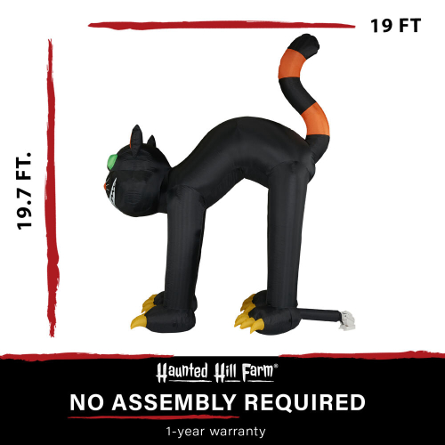 Haunted Hill Farm HIBCAT202-L - 3